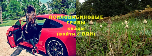 круглые Алзамай
