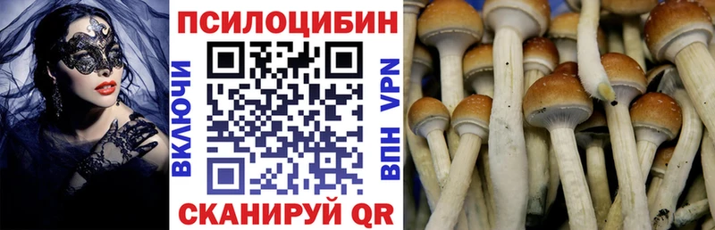 купить Дедовск Псилоцибиновые грибы Psilocybine cubensis