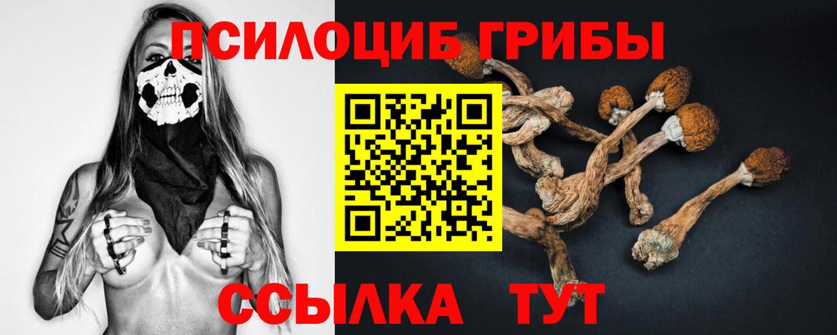 Галлюциногенные грибы MAGIC MUSHROOMS  продажа наркотиков  Дедовск  Псилоцибиновые грибы Psilocybe  Вход с VPN 